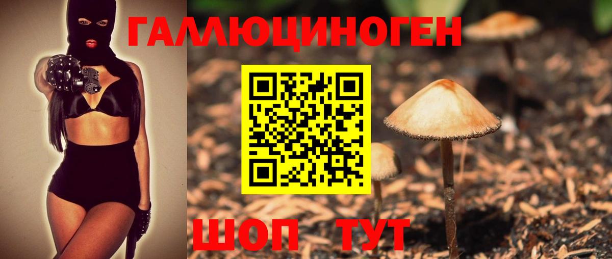 Мирный  Псилоцибиновые грибы MAGIC MUSHROOMS  Вход с VPN 