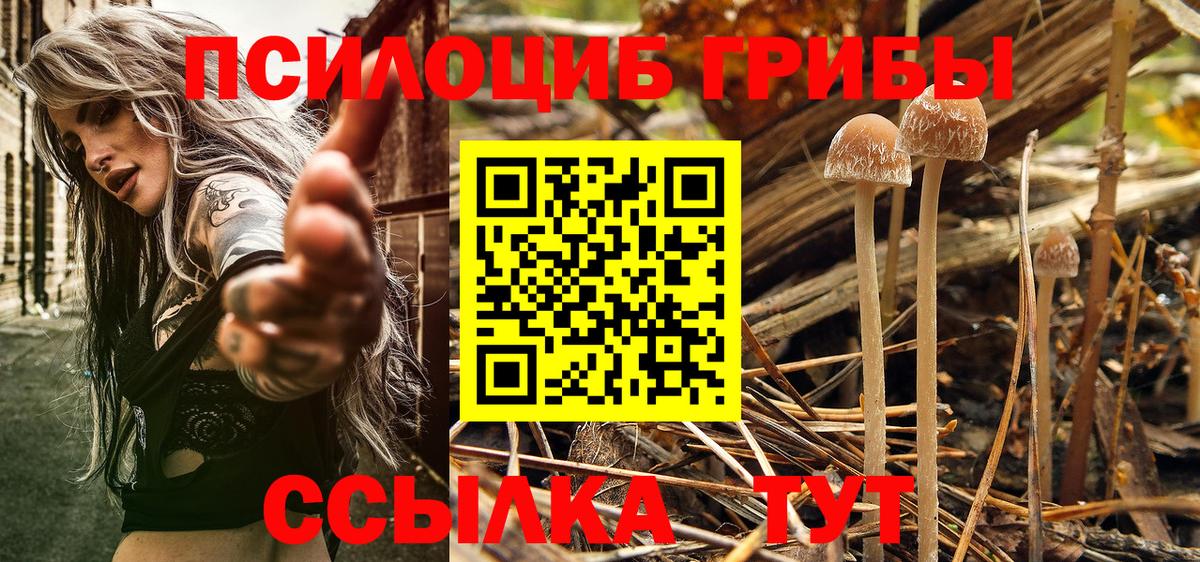 Псилоцибиновые грибы Psilocybe Мирный